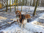 Luna & Didi